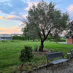 Photo n°20 de l'avis de Viviana.a fait le 23/06/2021 à 23:26 sur le  Trattoria Ferrovieri à Oleggio