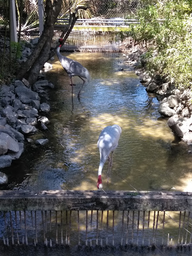 Zoo «Alligator Adventure», reviews and photos, 4604 Hwy 17 S, North Myrtle Beach, SC 29582, USA