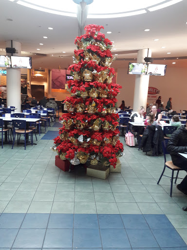 Shopping Mall «Northgate Mall», reviews and photos, 401 NE Northgate Way, Seattle, WA 98125, USA