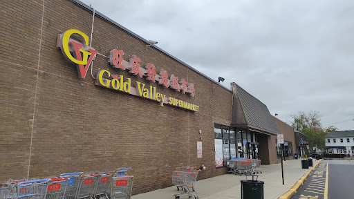 General Green Shopping Center, 203 Morris Ave, Springfield Township, NJ 07081, USA, 