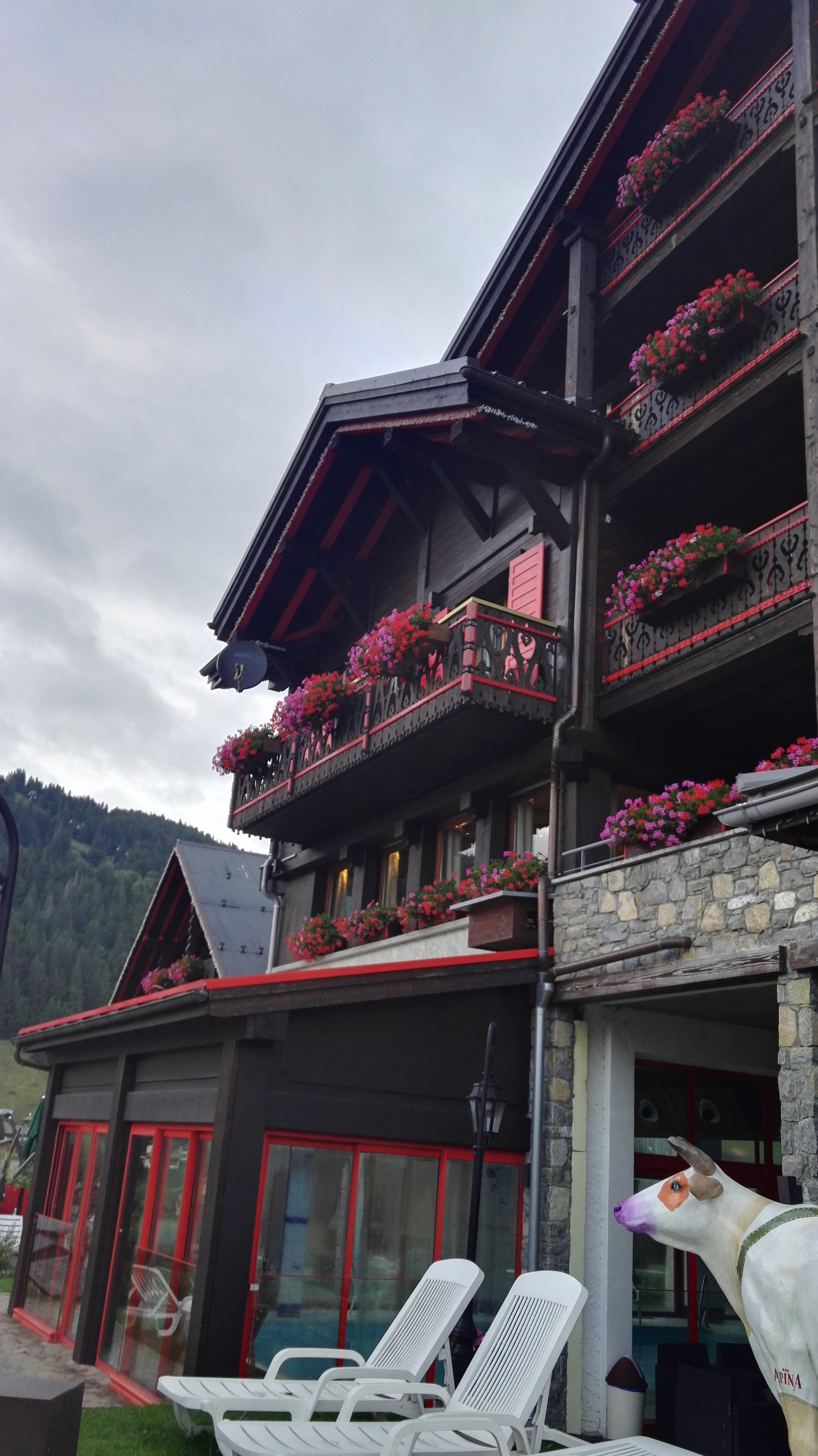 Photo n° 29 de l'avis de Christophe.e fait le 06/09/2019 à 08:27