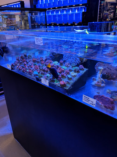 Pet Store «Mandarin SeaLife», reviews and photos, 9633 Old St Augustine Rd #2, Jacksonville, FL 32257, USA