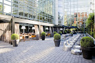 Best Charming Terraces In Frankfurt Near You