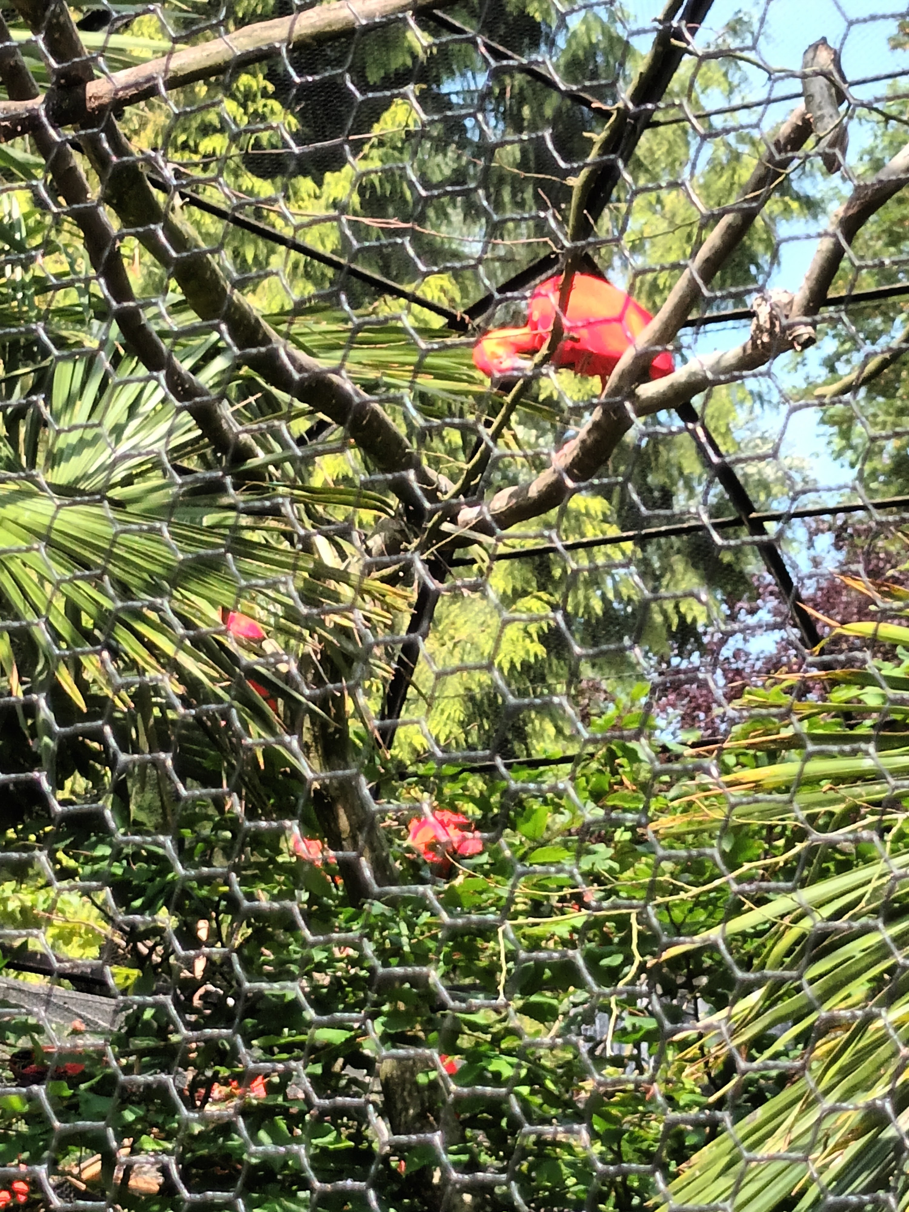 Photo n° 22 de l'avis de daniel.a fait le 28/06/2023 à 18:17