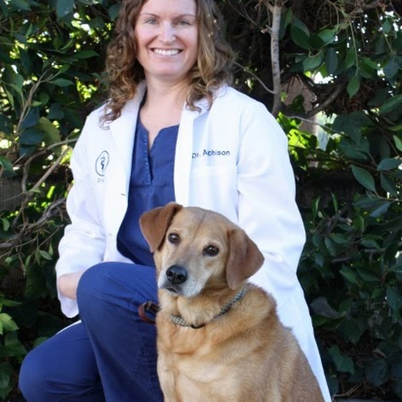 Care & Comfort Veterinary Hospital, A Thrive Pet Healthcare Partner