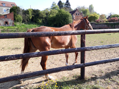 DOMAINE DE L'ECAILLON à Sommaing