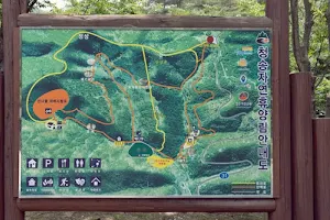Cheongsong Recreational Forest image