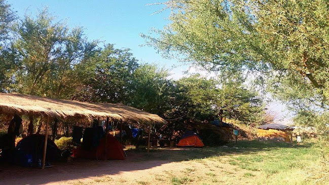Opiniones de Camping Quilarcay en San Pedro de Atacama - Camping