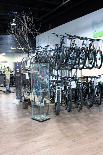 Bicycle Store «Colonial Bicycle Company - Portsmouth», reviews and photos, 775 Lafayette Rd #5, Portsmouth, NH 03801, USA