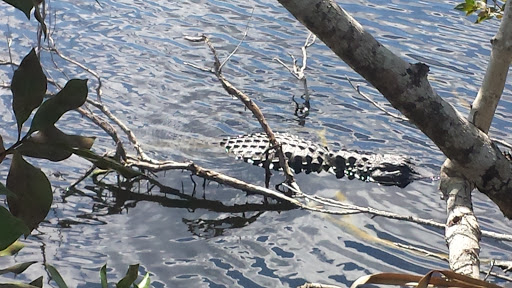 Visitor Center «Big Cypress Swamp Welcome Center», reviews and photos