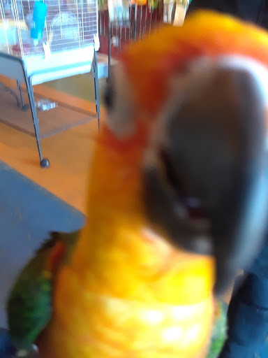 Pet Supply Store «All Pets Club», reviews and photos, 479 E Main St, Branford, CT 06405, USA