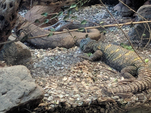 Park «Dr. Jose Rizal Park», reviews and photos, 1007 12th Ave S, Seattle, WA 98144, USA