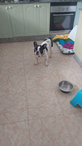 Clínica Veterinaria Arrecife en Arrecife