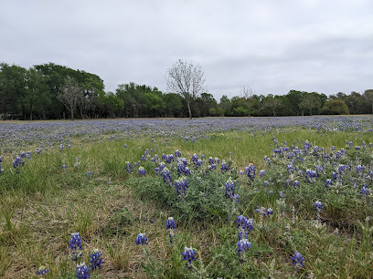 Haley Nelson Park