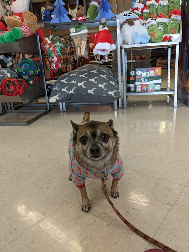 Pet Supply Store «Petco Animal Supplies», reviews and photos, 4491 Kirkwood Hwy, Wilmington, DE 19808, USA