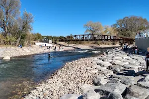 Poudre River Whitewater Park image