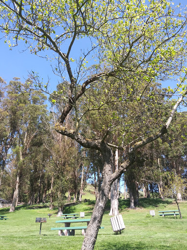 Blue Rock Springs Park image