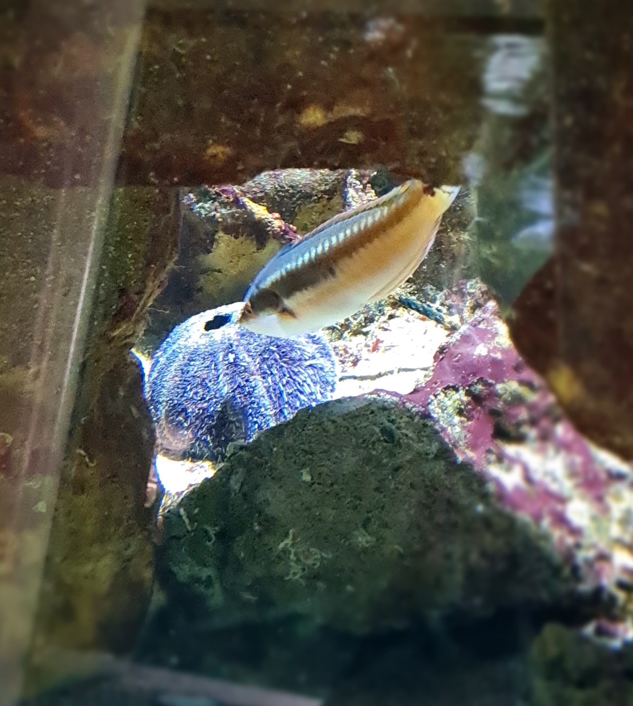 Photo n° 5 de l'avis de C..a fait le 28/01/2024 à 16:33