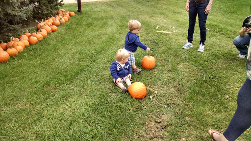 Produce Market «Kroul Farms», reviews and photos, 245 IA-1, Mt Vernon, IA 52314, USA