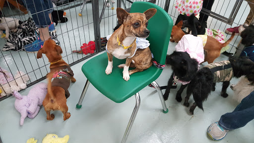 Pet Store «Wet Pets N Critters», reviews and photos, 103 TX-281 Loop, Longview, TX 75605, USA