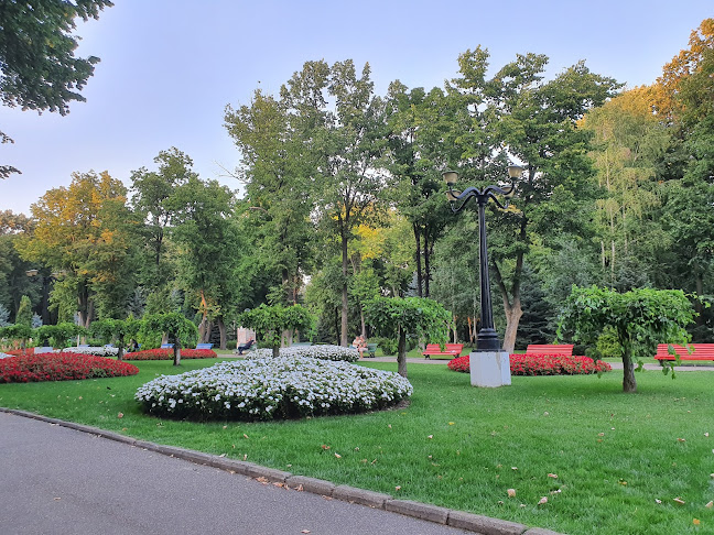 Parcul Copou din Vaslui - <nil>
