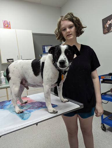 Western Illinois Veterinary Clinic image