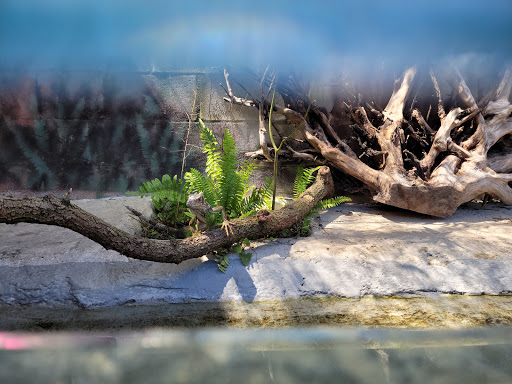 Aquarium «Aquarium Tarpon Springs», reviews and photos, 850 Dodecanese Blvd, Tarpon Springs, FL 34689, USA