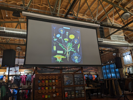 Clothing Store «Patagonia Outlet Reno», reviews and photos, 130 S Center St, Reno, NV 89501, USA