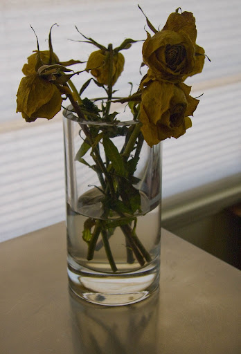 Florist «Howard Beach Florist», reviews and photos, 100-20 159th Ave, Howard Beach, NY 11414, USA