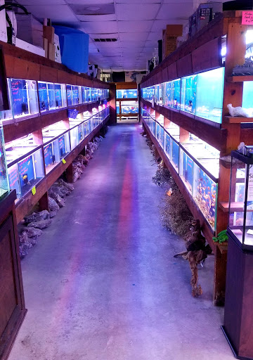 Pet Store «Fish R Us», reviews and photos, 10855 TX-242, Conroe, TX 77385, USA