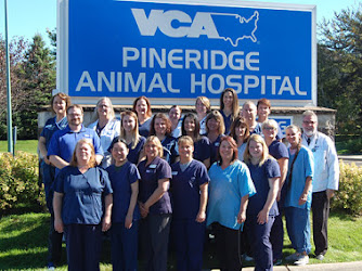 VCA PineRidge Animal Hospital