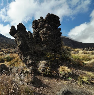 Photos of Tongariro Track Transport
