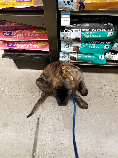 Pet Supply Store «Petco Animal Supplies», reviews and photos, 125 Church St, Pembroke, MA 02359, USA