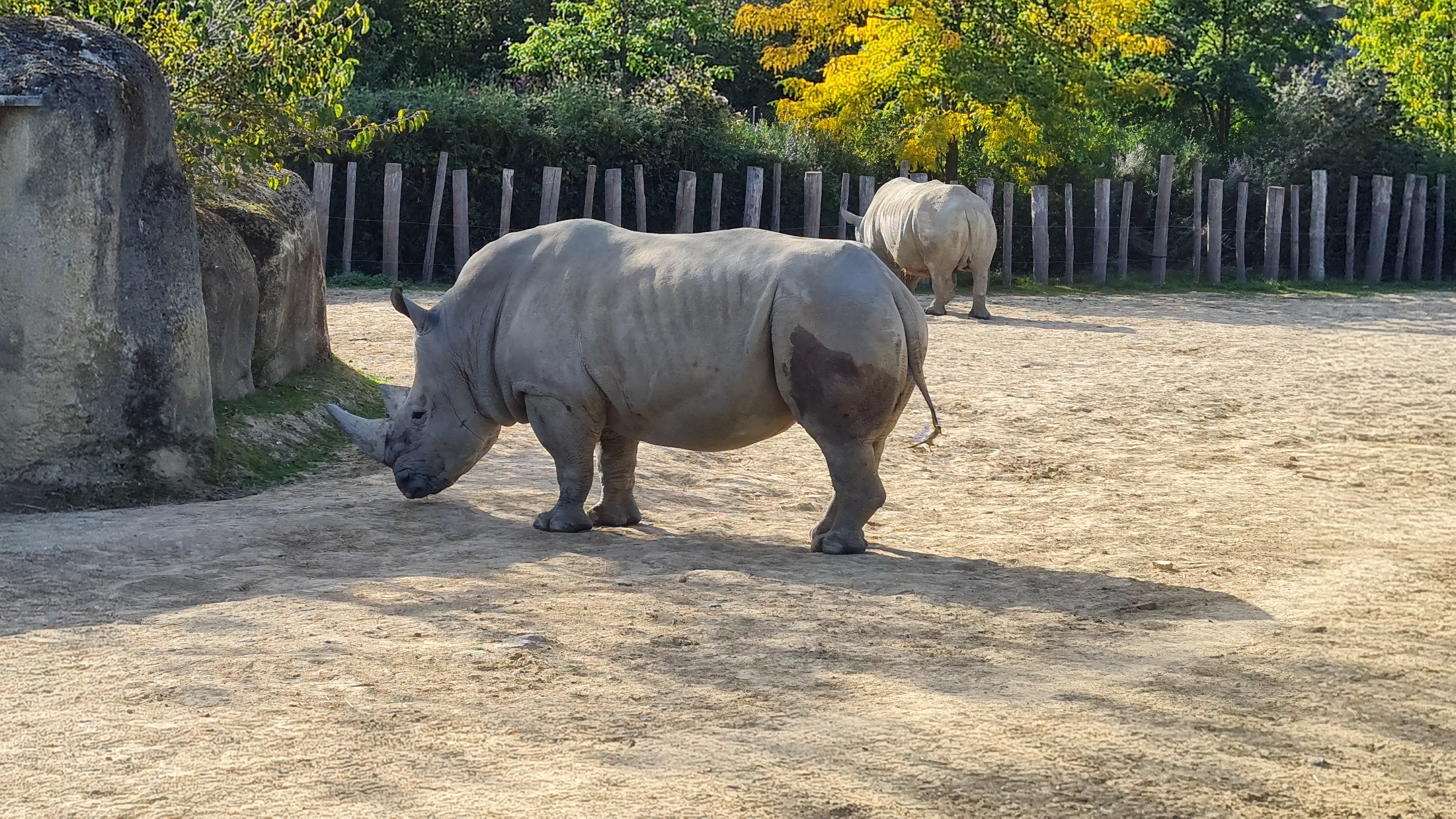 Photo n° 3 de l'avis de Thierry.u fait le 14/10/2023 à 18:57