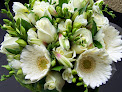 Roma Blooms | CBD Auckland Florist