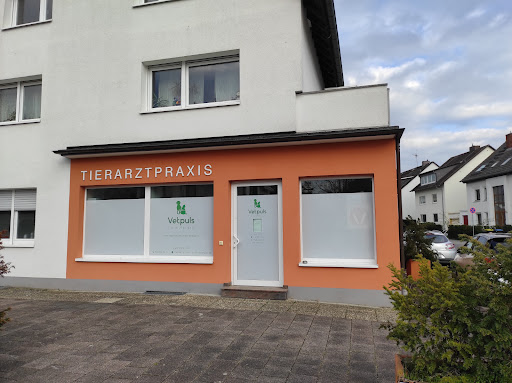 Tierarztpraxis Vet Puls,Notdienst-Sonntag von 09-18 Uhr unter Dreieich, 