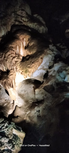 Tourist Information Center «Carlsbad Caverns National Park Headquarters», reviews and photos