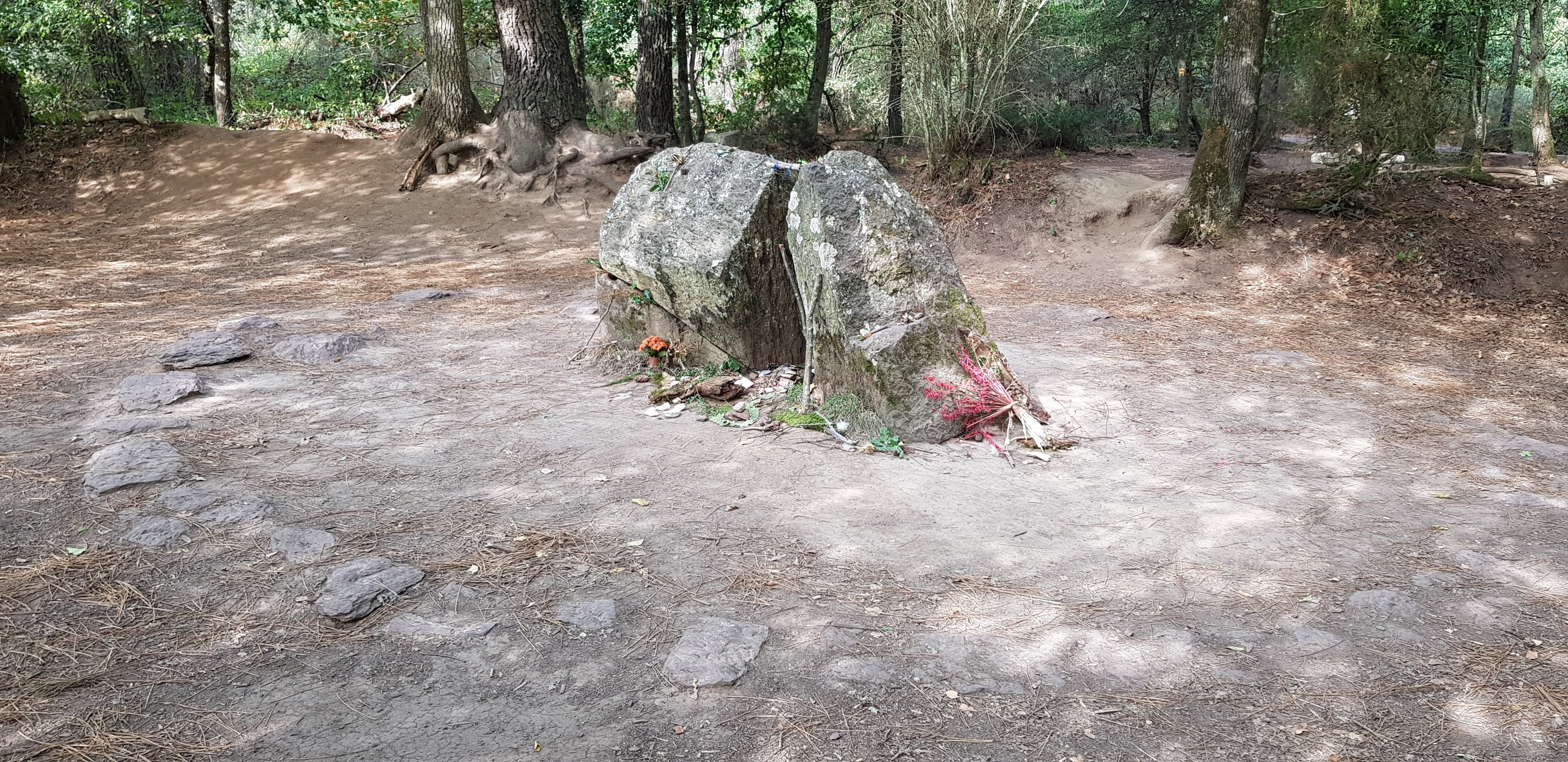 Photo n° 4 de l'avis de Pierre-B..u fait le 26/09/2020 à 06:59