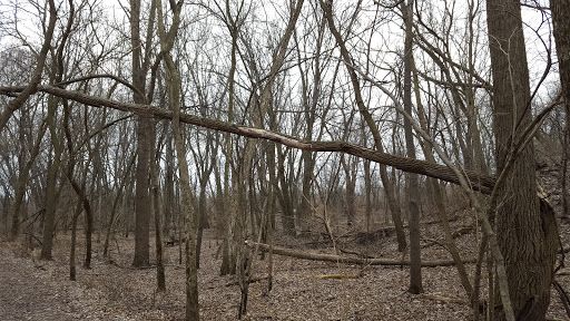 Nature Preserve «Knute Olson, Jr. Forest Preserve», reviews and photos, 12595 Base Line Rd, Kingston, IL 60145, USA