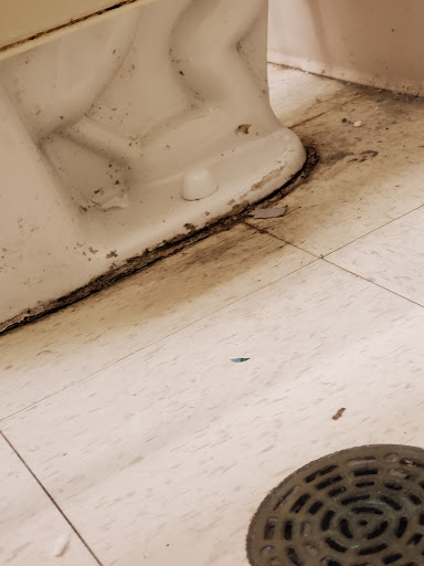 Fabric Store «Jo-Ann Fabrics and Crafts», reviews and photos, 3435 Wrightsboro Rd, Augusta, GA 30909, USA