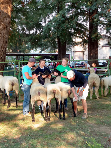 Association or Organization «Mendocino County Fair and Apple Show», reviews and photos