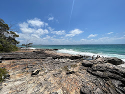 Zdjęcie Tea Tree Bay Beach położony w naturalnym obszarze
