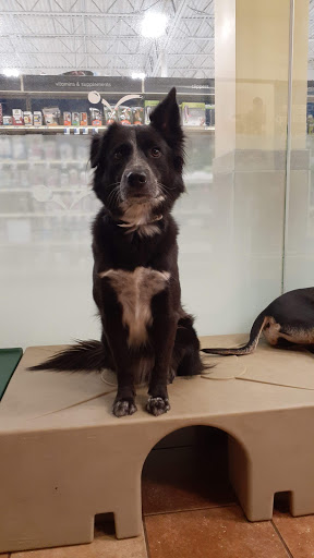 Pet Supply Store «PetSmart», reviews and photos, 200 S Village Center Dr, Southlake, TX 76092, USA