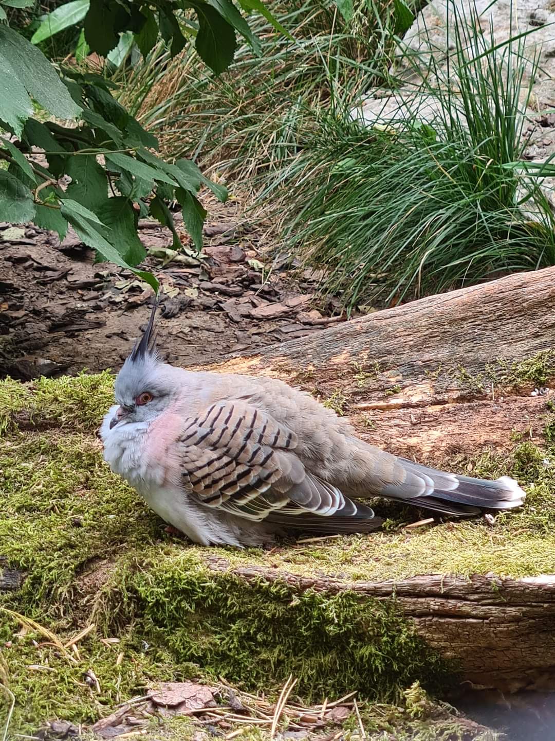Photo n° 18 de l'avis de Maïté.e fait le 03/08/2022 à 19:24
