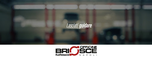 Officine Briosce - Fla Service srl (Via Conte Della Cerra 24/B)
