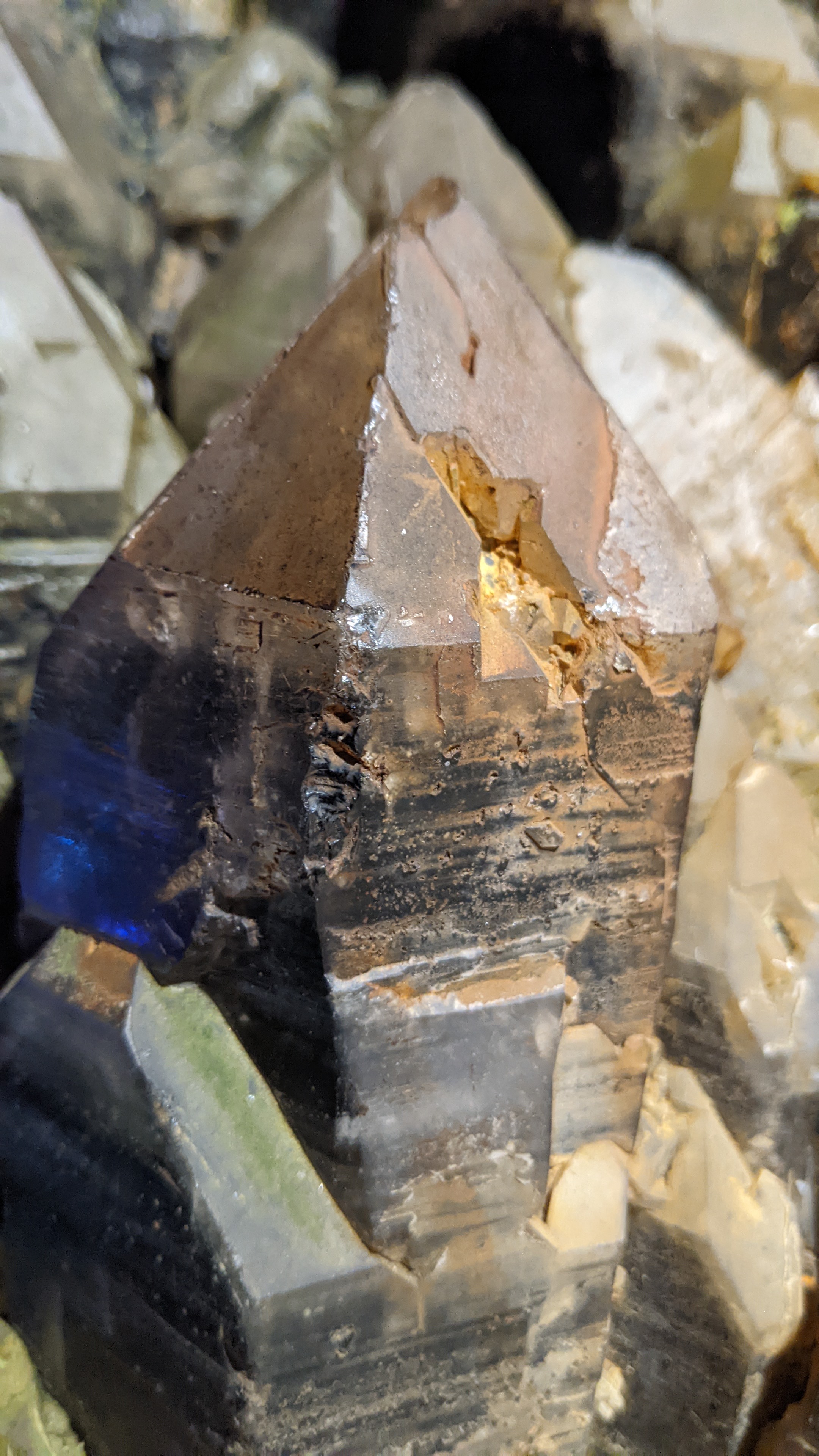 Photo n° 30 de l'avis de Darth.a fait le 11/08/2022 à 15:32