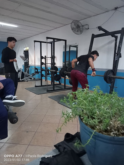 Odiseo Gym - Av. 53 2263, Nuevo Peñasco, 83553 Puerto Peñasco, Son., Mexico