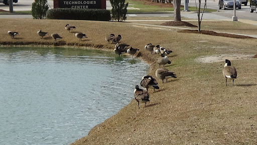Community College «Fayetteville Technical Community College», reviews and photos