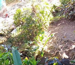 La Chalata Restaurante Campestre photo