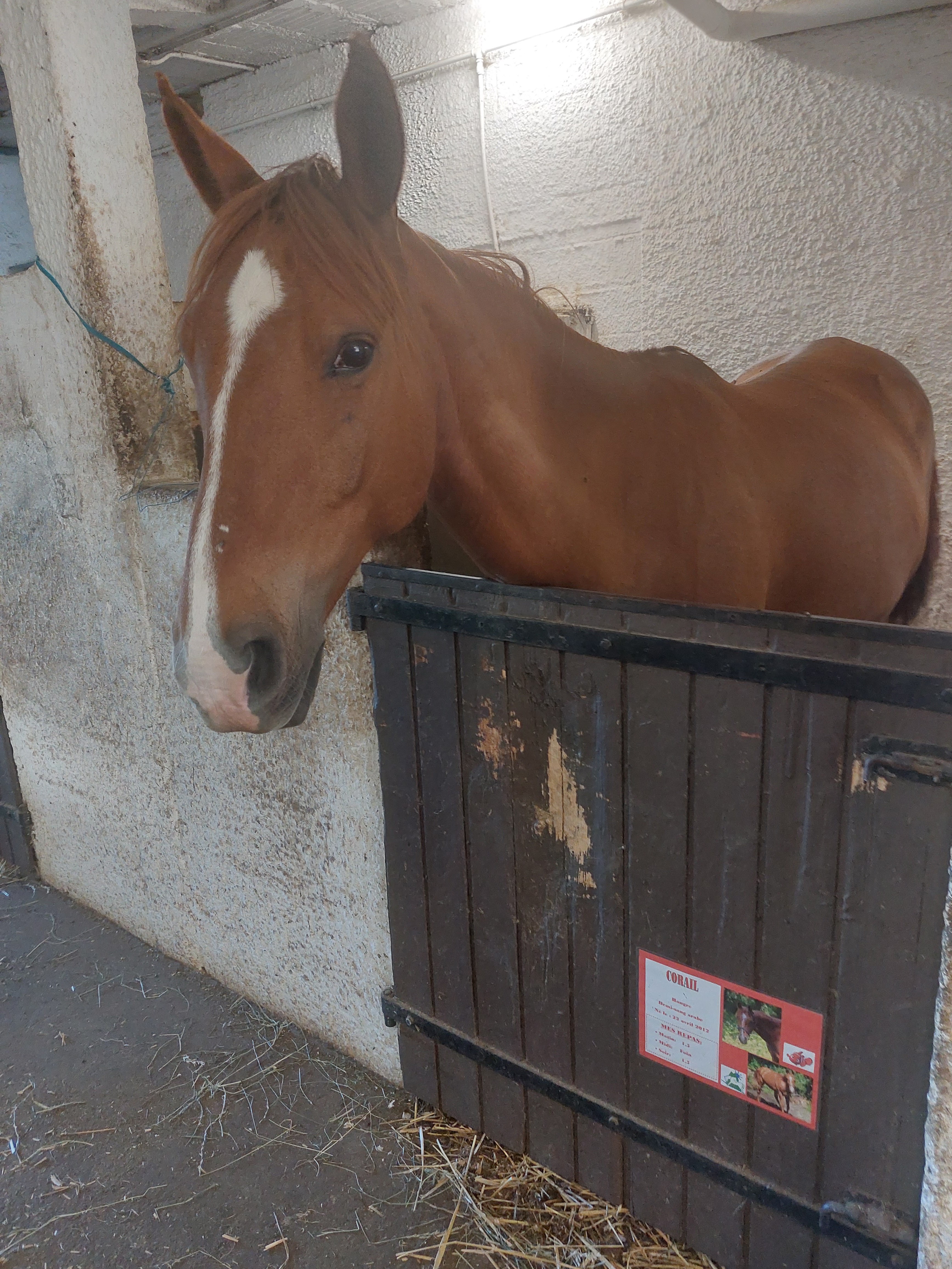 Photo n° 12 de l'avis de priincess.i fait le 12/07/2022 à 14:29